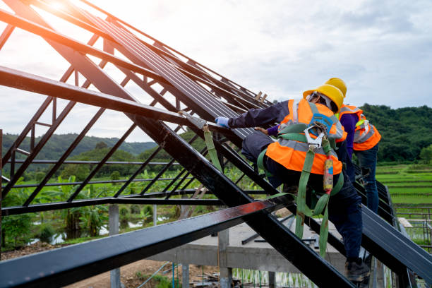 Best Roof Restoration Services  in Roanoke, AL