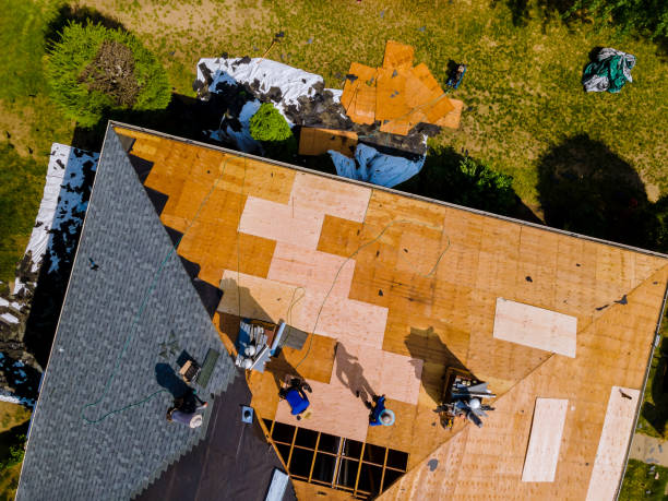 Best Emergency Roof Repair  in Roanoke, AL