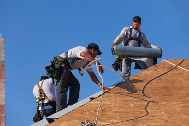 Best Emergency Roof Repair  in Roanoke, AL