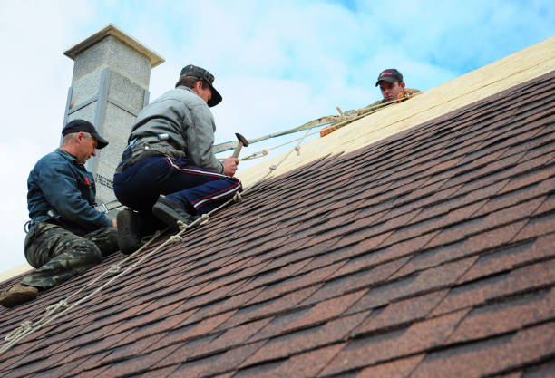 Best Shingle Roofing Installation  in Roanoke, AL